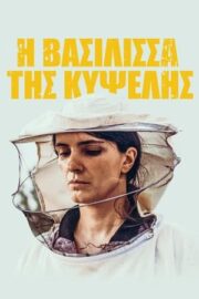 Kovan