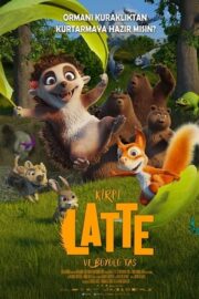 Kirpi Latte ve Büyülü Taş