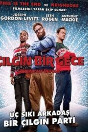 Çılgın Bir Gece