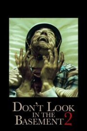 Don’t Look in the Basement 2